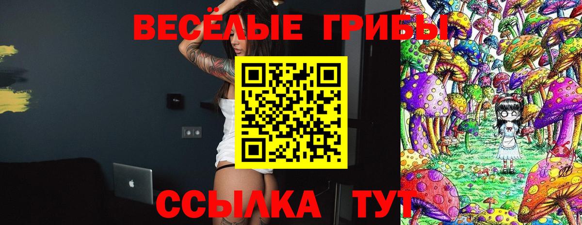 Галлюциногенные грибы мухоморы  Вход с VPN  Мытищи 